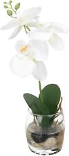 White Mini Synthetic Silk Artificial Phalaenopsis Orchid in Glass Clear Vase