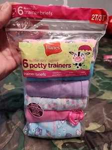 Hanes 6-Pack Potty Trainer Training Briefs, Toddler's Size 2T/3T - Picture 1 of 2