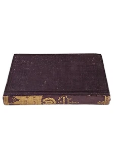 1880 ZEGELDA ROMANIEF A Story About Music by Charles Barnard Musical Herald Co - Imagen 1 de 6