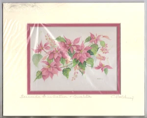 Signed NOS Watercolor Print “Bermuda Poinsettia & Caralita” by Carole Holding - Picture 1 of 2