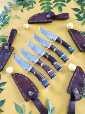 BKC LOT OF 20, 6 inches Handmade Damascus Steel Skinner Knives in Stag horn W/Sheath