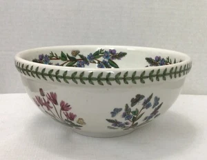 portmeirion botanic garden Susan Williams Ellis Medium Salad Mixing Bowl - Picture 1 of 5