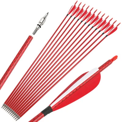 30" Carbon Arrows Archery SP500 4" Feather Compoundbow Recurve Bow Tips Hunting - Image 1 of 4