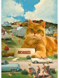 Morris The Cat 9 Lives Vintage Werbung 11,7x16,5 Fotodruck - Bild 1 von 1