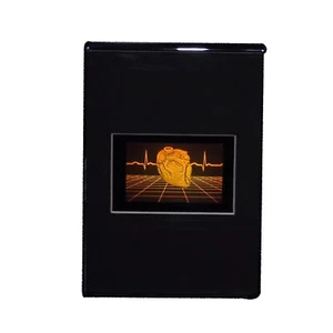 Heart w/ Heartline Grid Large 3D Collectible Hologram Picture EMBOSSED Deskstand - Picture 1 of 12