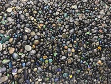 10000.00 CTS>>>CLEARENCE SALE>>>100 % NATURAL BLACK OPAL_MULTI-COLOR
