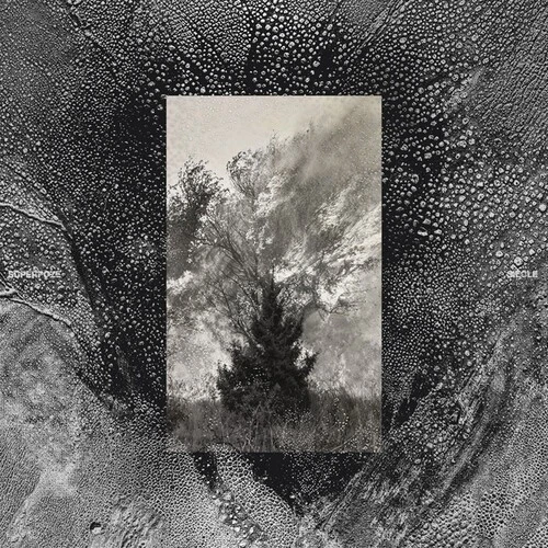 Superpoze - Siecle [Used Very Good CD] - Image 1 of 1