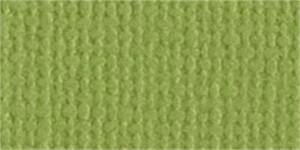 Bazzill Mono Cardstock 8.5"X11"-Parakeet/Canvas - 25 Pack - Picture 1 of 1