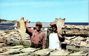 Cod Drying Racks at Cloridorme Gaspe North Shore Quebec Canada Postcard - Picture 1 of 2