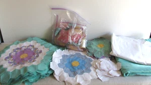 Vintage Quilt Blocks Grandma's Garden 27 finished others in progress 12" across - Picture 1 of 13