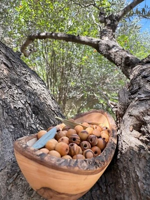 Beads - Olive Wood Round Beads for Rosaries Jewelry Christmas Gifts (10 12 14mm) - image 1 of 4