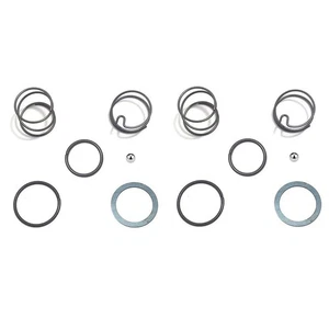 2 SET N078434 N089668 Spring Kits with Steel Ball, Fit DCF885 DCF886, Impact ... - Picture 1 of 6