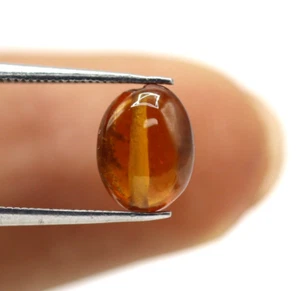 1.96 Ct Natural Garnet Brown Loose Drilled Beads Untreated Africa Gemstone - Picture 1 of 8
