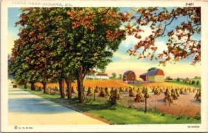 Vintage Postcard Scenic View of Farm Indiana Pennsylvania PA               21385 - Picture 1 of 2