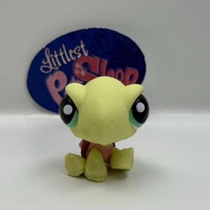 TURTLE #1597 - Authentic Littlest Pet Shop - Hasbro LPS - Picture 1 of 4