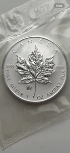2009 Canadian Silver Maple With Ox Privy RCM Sealed - Picture 1 of 2