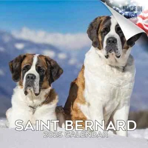 SAINT BERNARD Wall Calendar 2025 Animal DOG PET Lover Gift - Picture 1 of 2