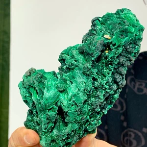 435G Natural glossy Malachite transparent cluster rough mineral sample - Picture 1 of 22