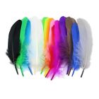 50PCS Colorful Swan Feather Plume  Wedding Party Handicraft Accessories