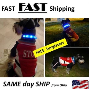 Boom Boom Dog - LED Dog Collar --- FREE Dog Sunglasses --- SUPER FAST SHIPPING - Picture 1 of 15