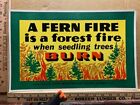 SMOKEY TYPE FIRE PREVENTION POSTER A FERN FIRE IS A FOREST FIRE CENTRALIA WASH