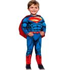 Justice League Superman Padded Muscle Toddler Costume 3-4T New