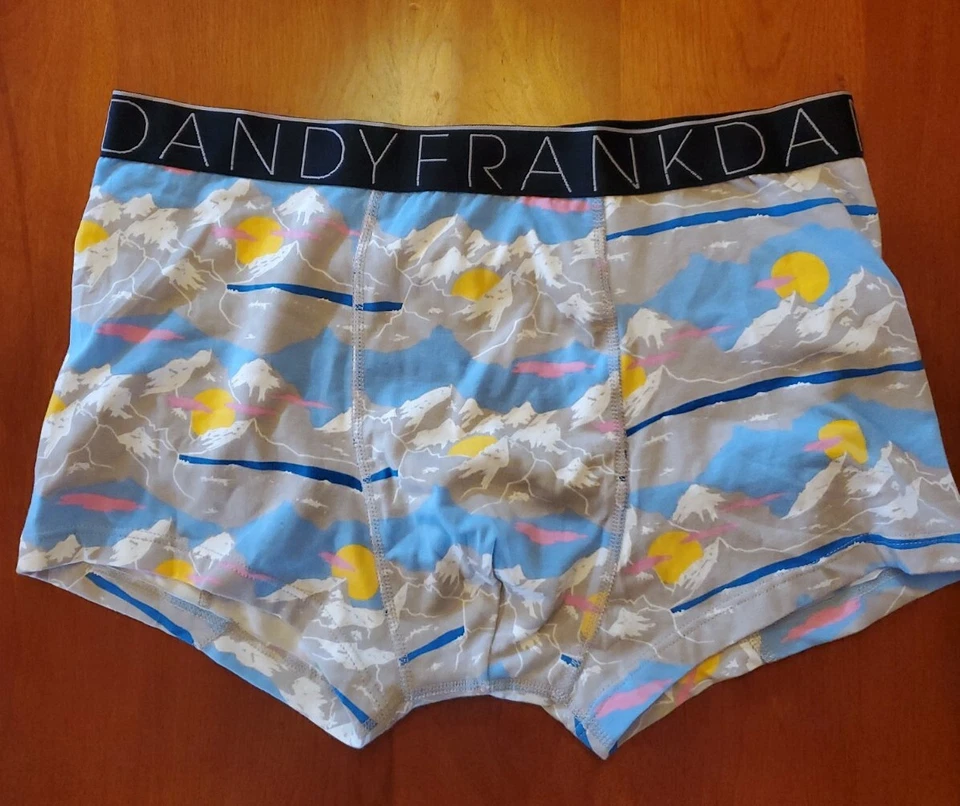 Frank Dandy Men's Blue Dolomite Trunks Briefs 2XL NWOT - Image 1 of 1