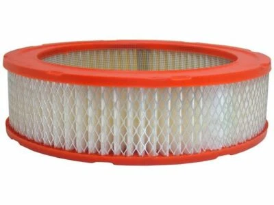 Marco de filtro de aire para camioneta Fargo W110 1969-1972 49123GN 1970 1971 5,2 L V8 Foto 1 de 2