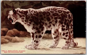 New York NY, Zoological Park, Snow Leopard, Or Ounce, Wild Animal, Postcard - Picture 1 of 2