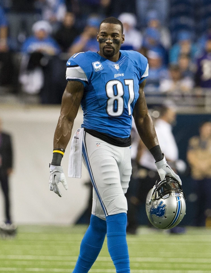Detroit Lions Calvin Johnson 8x10 Photo NFL Football Print - Image 1 of 1