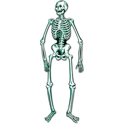 Esqueleto articulado de doble cara utilería - 55" de alto perfecto para fiestas de Halloween Foto 1 de 4