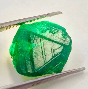 Natural Green Sapphire Burma Specimen Rough Loose Gemstone M11 - Picture 1 of 24