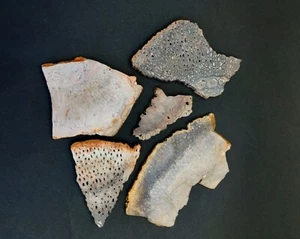 014 Brazilian petrified tree fern lot of 5 slabs, 160 grams, beautiful colors - Picture 1 of 6