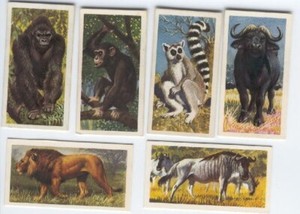 Full Set - 1962 - African Wild Life - Brooke Bond Cards