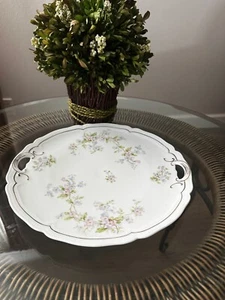 Kaiserkrone Wien Österreich Porzellan rosa & blau floral Weinrebe Platte 18-1900 - Bild 1 von 4