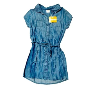 NWT Gymboree Chambray Shirt Dress Size 4 - Picture 1 of 6