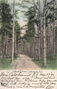 CATHEDRAL DRIVE LAKEWOOD NJ NUEVA JERSEY POSTAL VINTAGE 1906 091223 S - Imagen 1 de 2