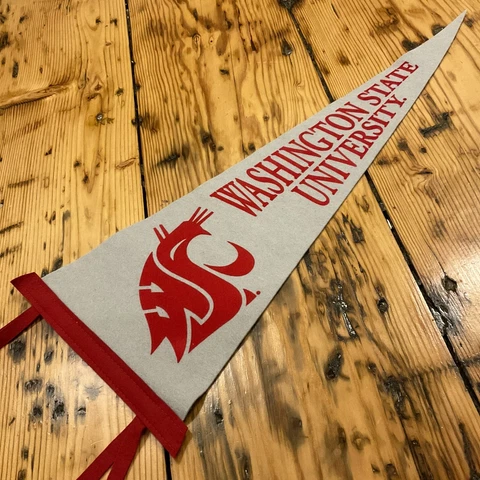 Vintage Washington State Cougars Pennant WSU 30”x12” Cover