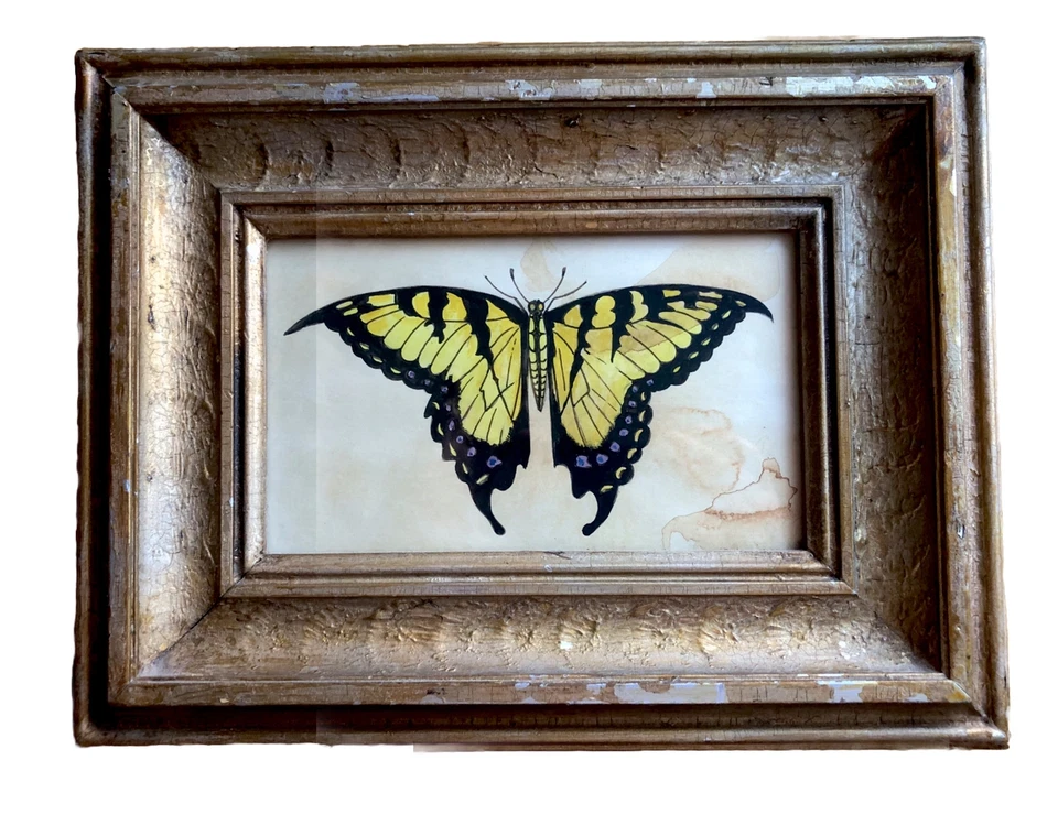Primitive Watercolor Swallow Tail Butterfly - Image 1 of 1