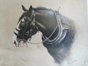 DRAFT HORSE Art "The Heavy" print of Shire signed limited edition by Bill Easton - Picture 1 of 3
