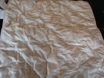 Pottery Barn Kids Emma Velvet euro farsa rosa sesión de fotos muestra Foto 1 de 3