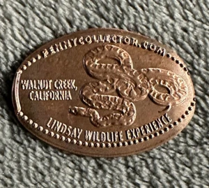 Elongated Penny-Snake-Lindsay Wildlife Experience Walnut Creek CA-Smash gepresst - Bild 1 von 3