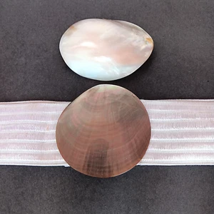 Genuine Sea Shell Fashion Buckles, Lot of 2 w/ White Elastic Belt Waist 29"-34" - Picture 1 of 9