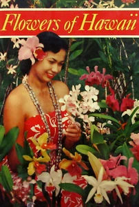 Folleto guía ilustrado flores tropicales hawaianas vintage recuerdo de viaje 1964 - Imagen 1 de 8