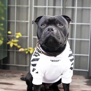 Woof Stylish Pet Hoodie - Picture 1 of 7
