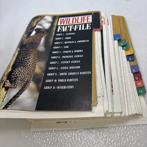 Vintage 90s Wildlife Fact File Explorer Binder Cards Only Mammals Birds Fish Lot - Bild 1 von 16