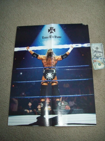 WWE/WWF TRIPLE H 2-SIDED POSTER Pro Wrestling AEW NWO WcW ECW NWA NJPW "THE GAME Cover