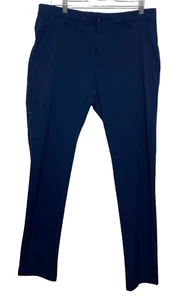 Zyia Active Pants Men Size Large Blue Nylon Performance Stretch Gorpcore Tapered - Picture 1 of 11