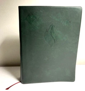 NEW: Study Fire Bible: Simplifi Chinese. . Vinyl Cover, Green - Picture 1 of 9
