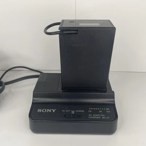 Original Sony BC-U1 AC Akku Ladegerät mit Offbrand Akku - Bild 1 von 7
